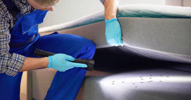 Best Best Pest Control Near Me  in Springs, NY