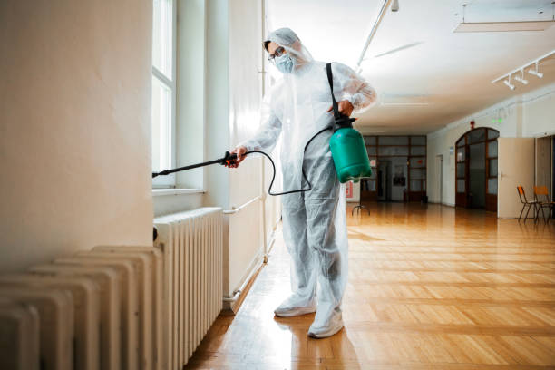 Best Best Pest Control Companies  in Springs, NY